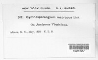 Image Associated With the Occurence